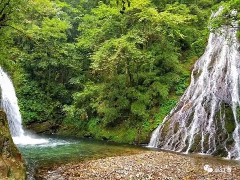 发扬“绿叶”精神，争做新时代忠诚奉献坚守的好干部